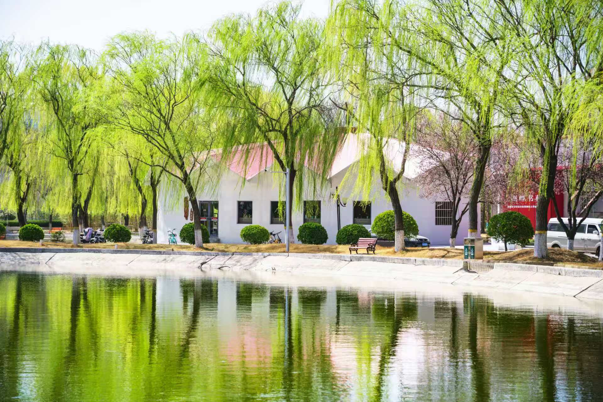 聊大讲坛：智能影像技术与应用